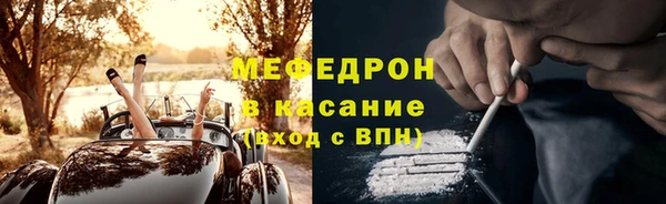 сатива Няндома